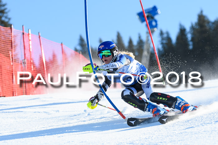SVM U14/U16 Slalom 14.01.2018