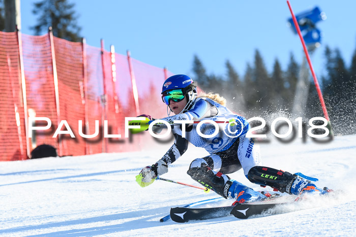 SVM U14/U16 Slalom 14.01.2018