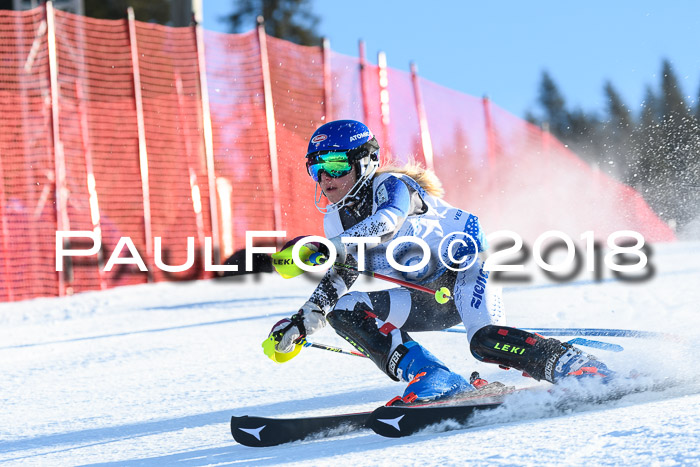 SVM U14/U16 Slalom 14.01.2018