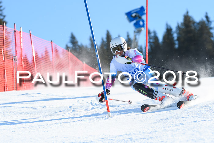 SVM U14/U16 Slalom 14.01.2018
