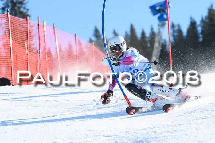 SVM U14/U16 Slalom 14.01.2018