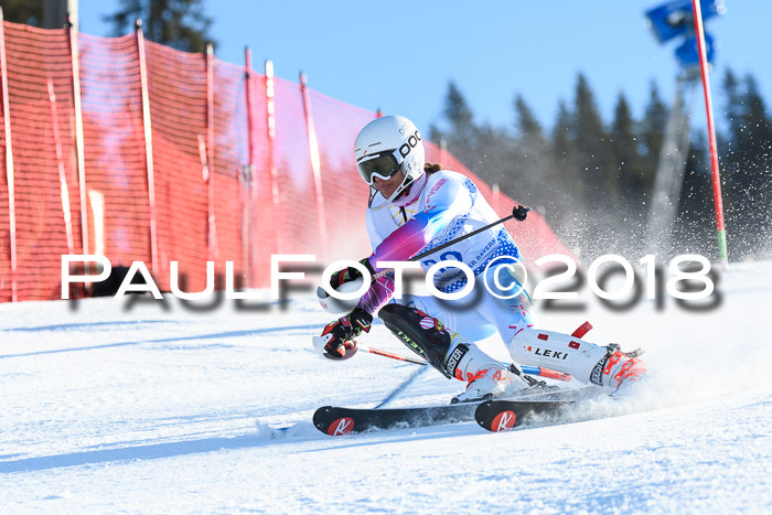 SVM U14/U16 Slalom 14.01.2018
