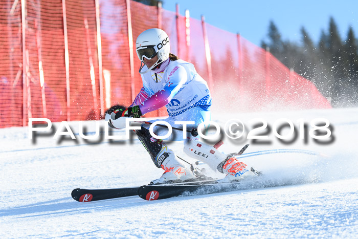 SVM U14/U16 Slalom 14.01.2018