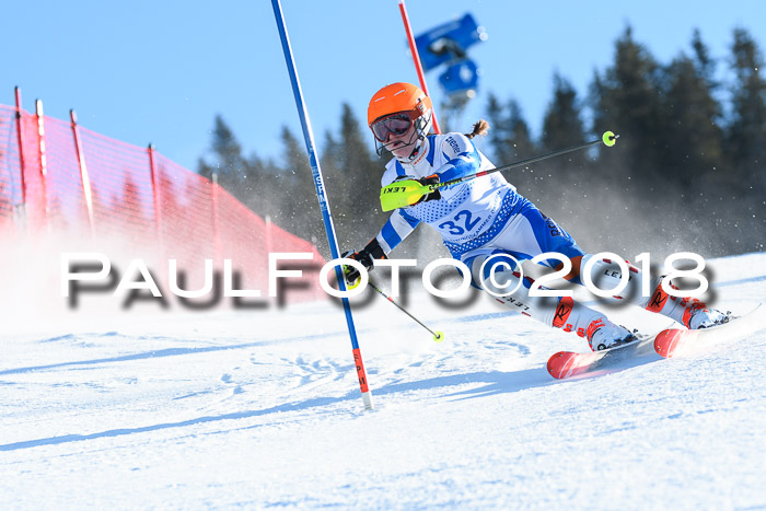 SVM U14/U16 Slalom 14.01.2018