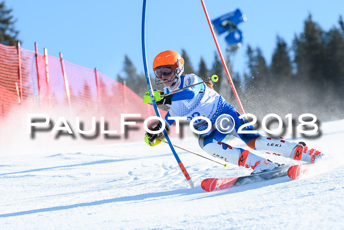 SVM U14/U16 Slalom 14.01.2018