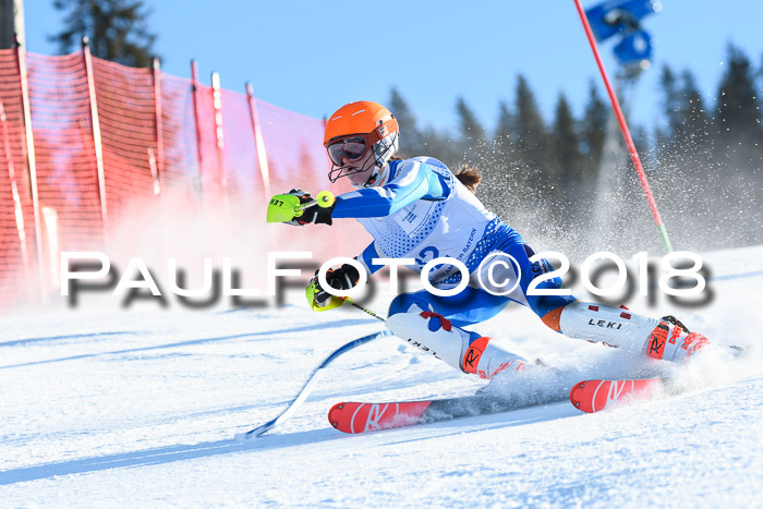 SVM U14/U16 Slalom 14.01.2018