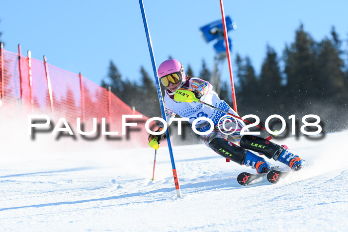 SVM U14/U16 Slalom 14.01.2018