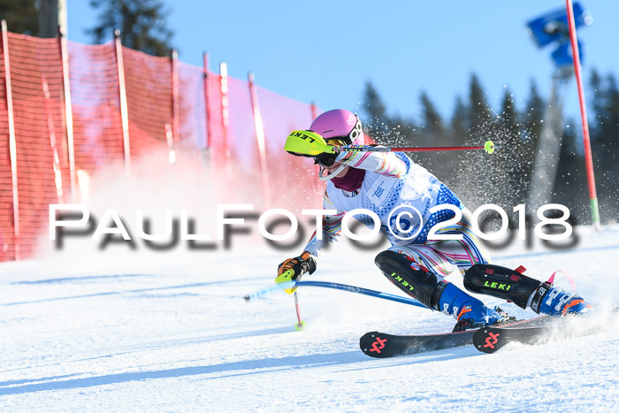 SVM U14/U16 Slalom 14.01.2018