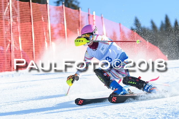 SVM U14/U16 Slalom 14.01.2018
