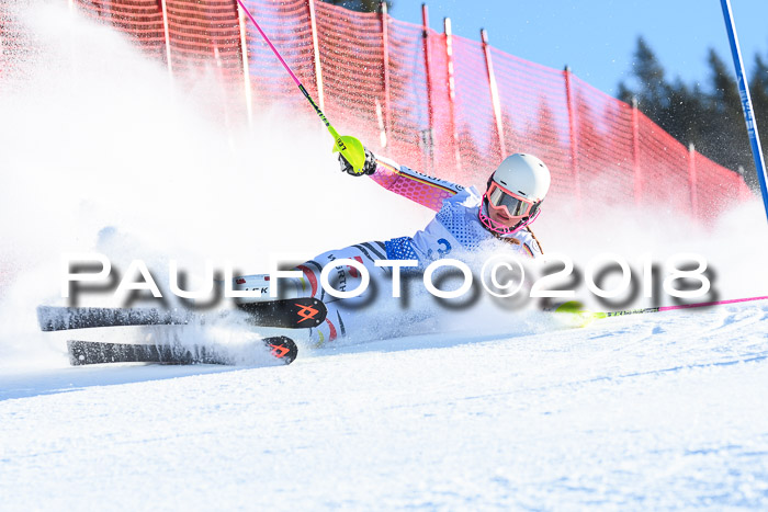 SVM U14/U16 Slalom 14.01.2018