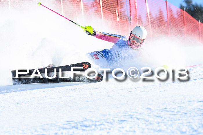 SVM U14/U16 Slalom 14.01.2018