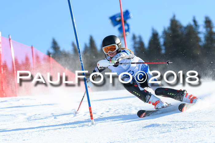 SVM U14/U16 Slalom 14.01.2018