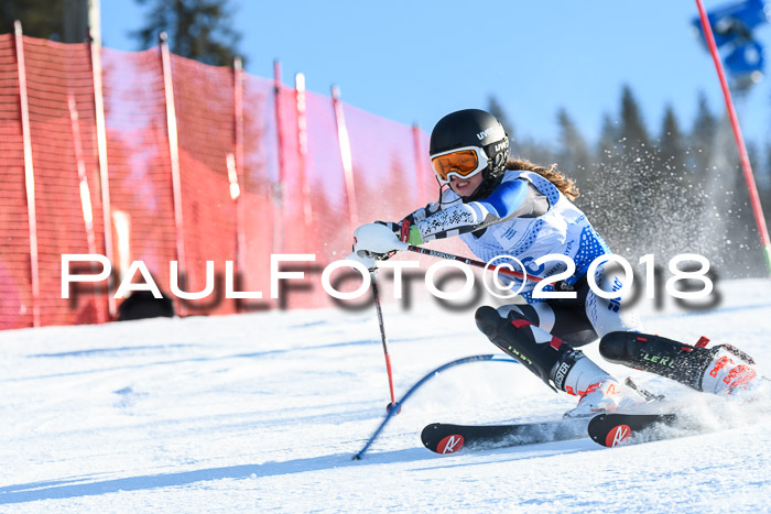 SVM U14/U16 Slalom 14.01.2018