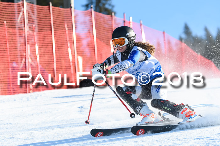 SVM U14/U16 Slalom 14.01.2018