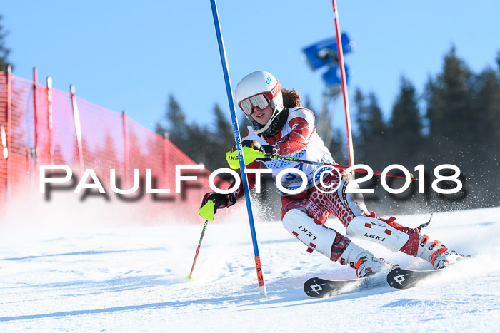SVM U14/U16 Slalom 14.01.2018