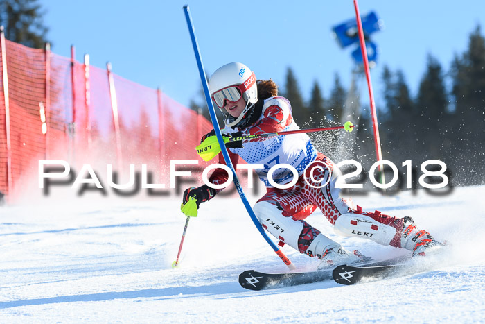 SVM U14/U16 Slalom 14.01.2018
