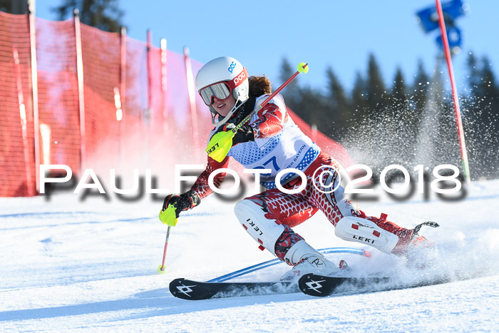 SVM U14/U16 Slalom 14.01.2018