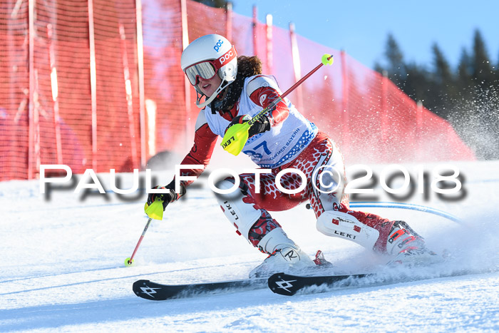 SVM U14/U16 Slalom 14.01.2018