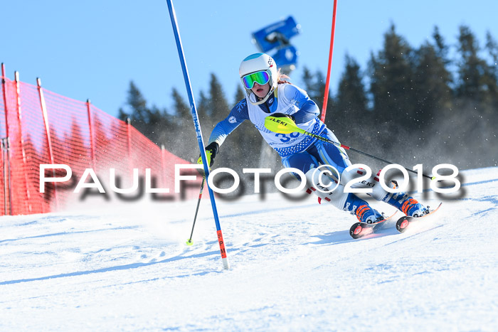 SVM U14/U16 Slalom 14.01.2018