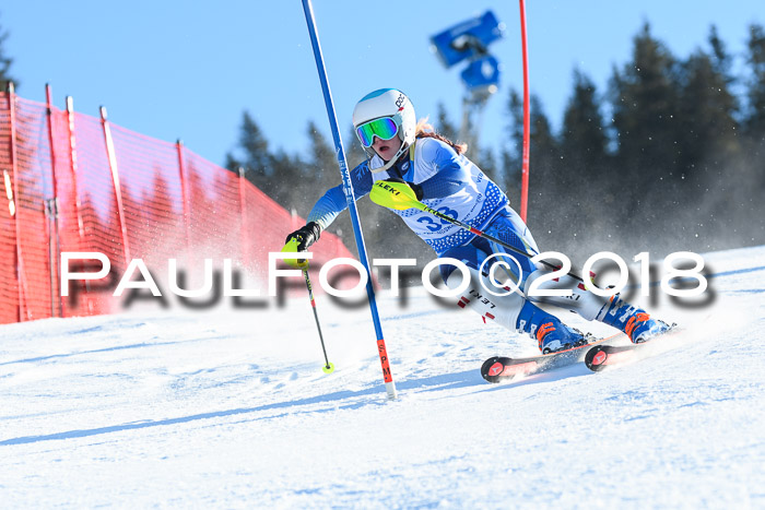 SVM U14/U16 Slalom 14.01.2018