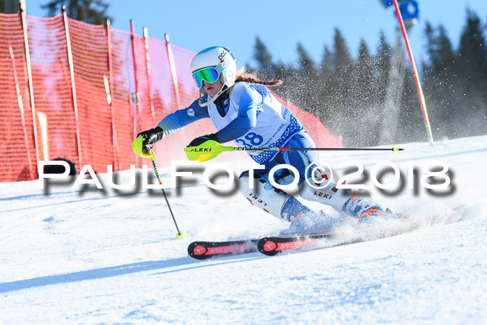 SVM U14/U16 Slalom 14.01.2018