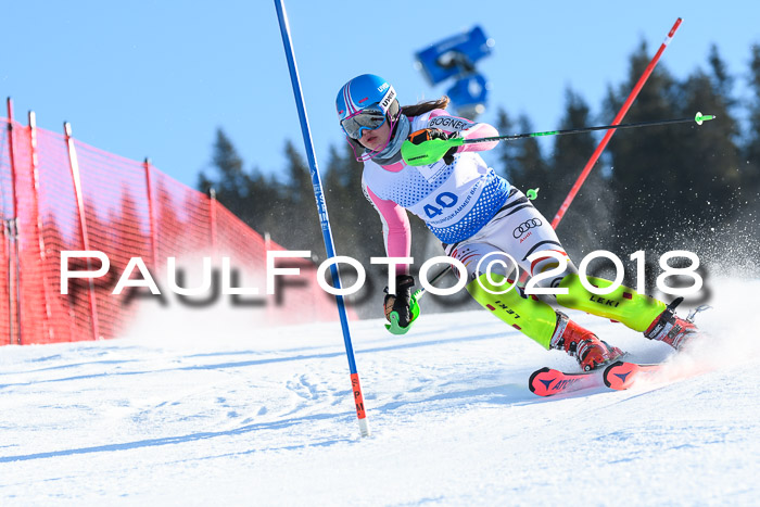 SVM U14/U16 Slalom 14.01.2018