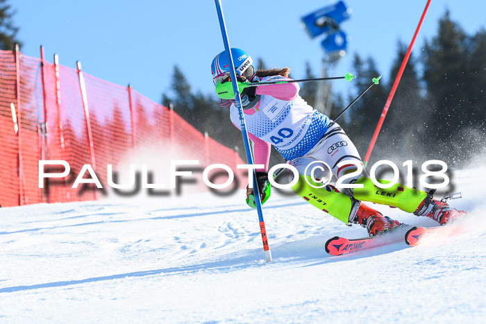 SVM U14/U16 Slalom 14.01.2018