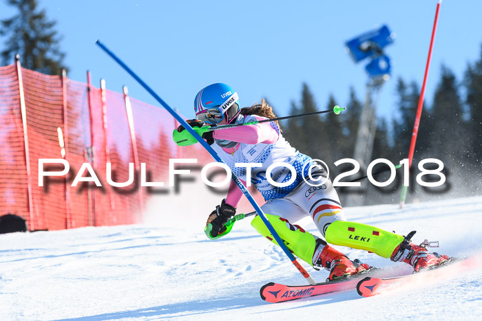 SVM U14/U16 Slalom 14.01.2018