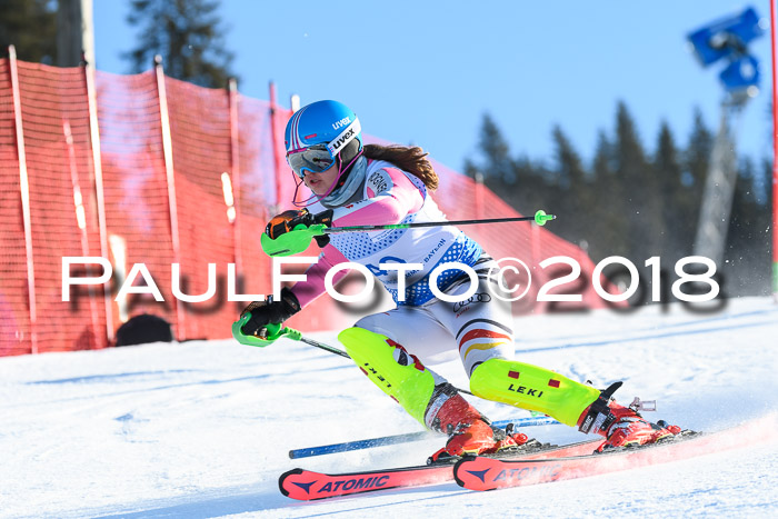 SVM U14/U16 Slalom 14.01.2018