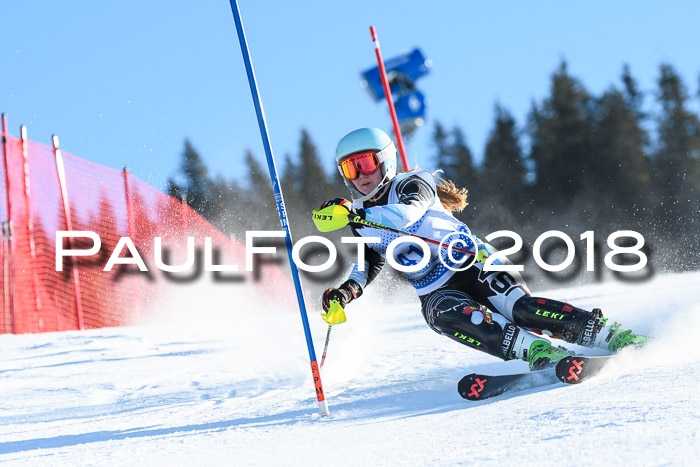 SVM U14/U16 Slalom 14.01.2018