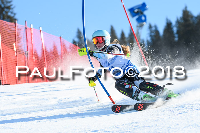 SVM U14/U16 Slalom 14.01.2018