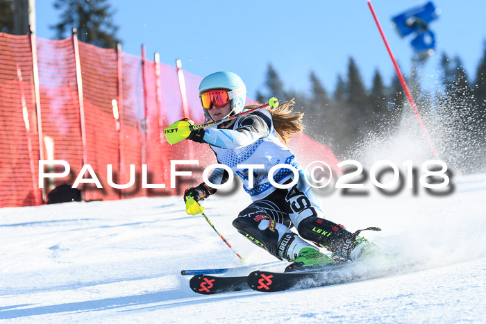 SVM U14/U16 Slalom 14.01.2018