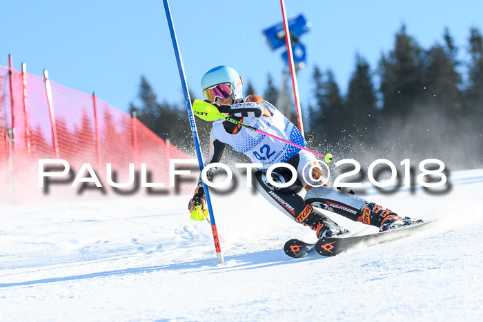 SVM U14/U16 Slalom 14.01.2018