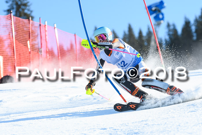 SVM U14/U16 Slalom 14.01.2018