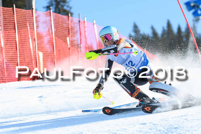 SVM U14/U16 Slalom 14.01.2018