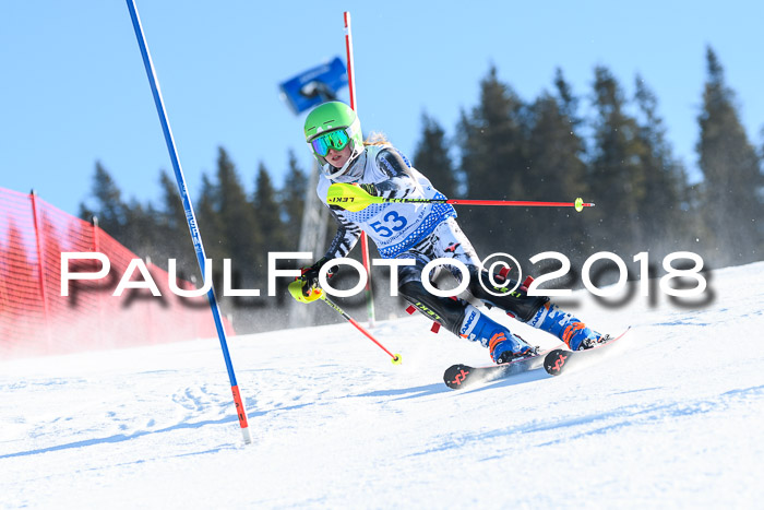 SVM U14/U16 Slalom 14.01.2018