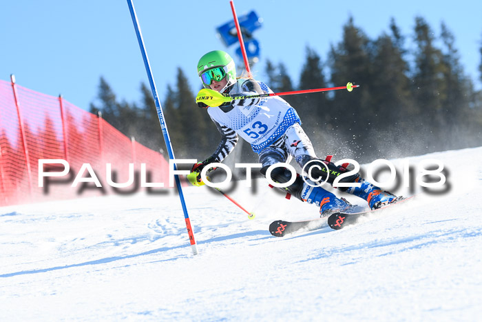SVM U14/U16 Slalom 14.01.2018