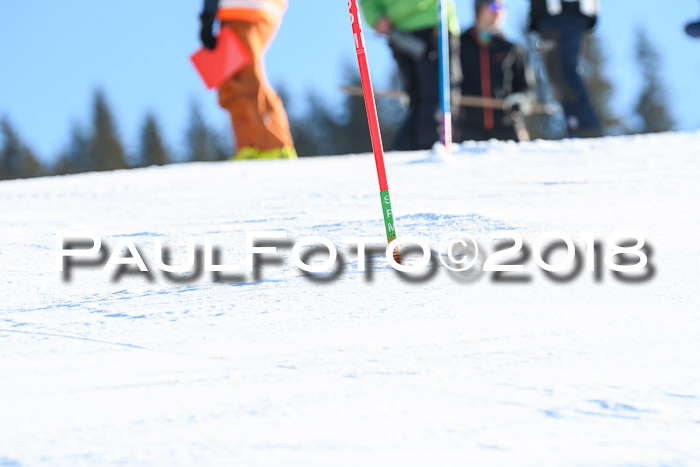 SVM U14/U16 Slalom 14.01.2018