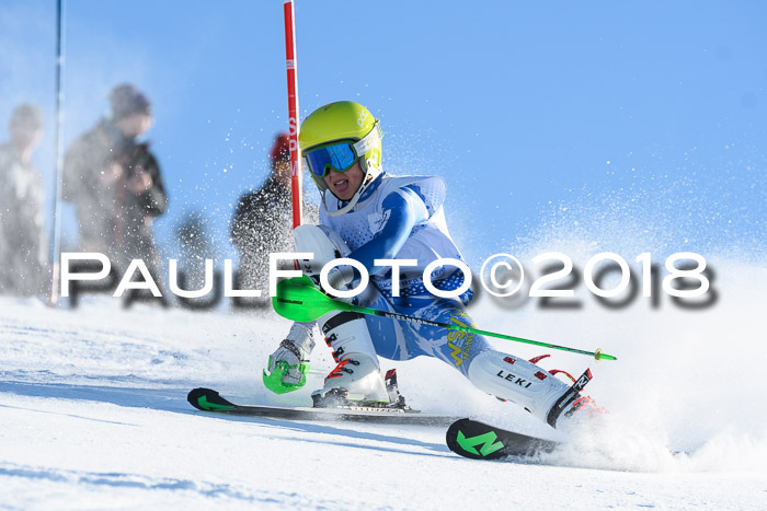 SVM U14/U16 Slalom 14.01.2018