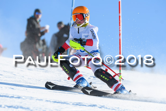 SVM U14/U16 Slalom 14.01.2018