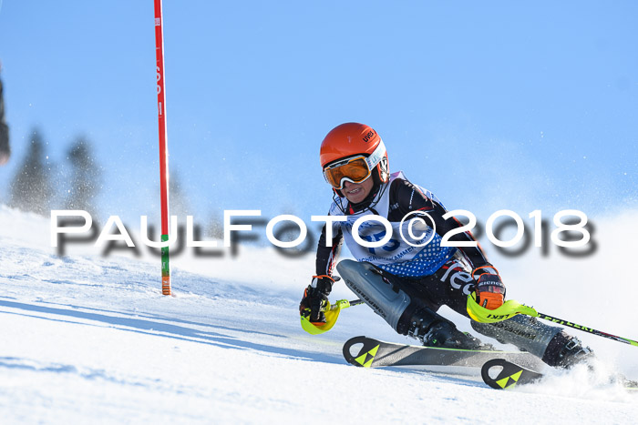 SVM U14/U16 Slalom 14.01.2018