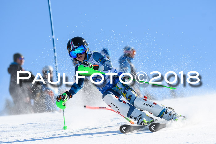 SVM U14/U16 Slalom 14.01.2018