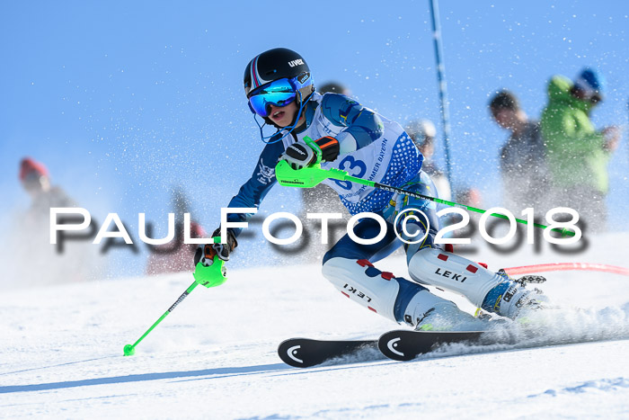 SVM U14/U16 Slalom 14.01.2018