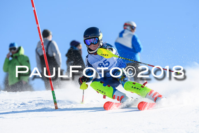 SVM U14/U16 Slalom 14.01.2018