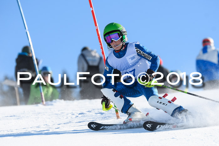 SVM U14/U16 Slalom 14.01.2018