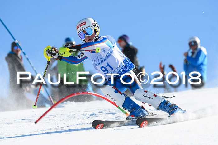 SVM U14/U16 Slalom 14.01.2018