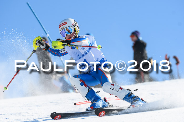 SVM U14/U16 Slalom 14.01.2018