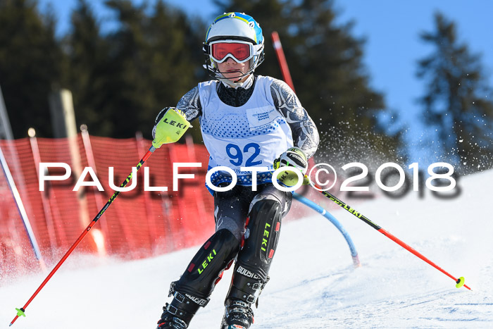 SVM U14/U16 Slalom 14.01.2018