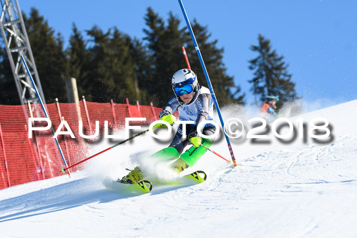 SVM U14/U16 Slalom 14.01.2018
