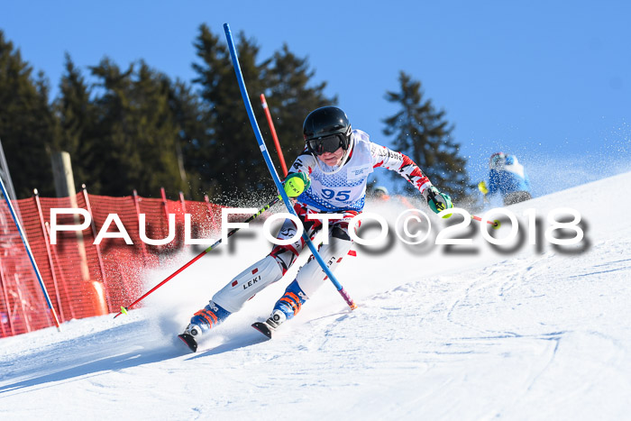SVM U14/U16 Slalom 14.01.2018